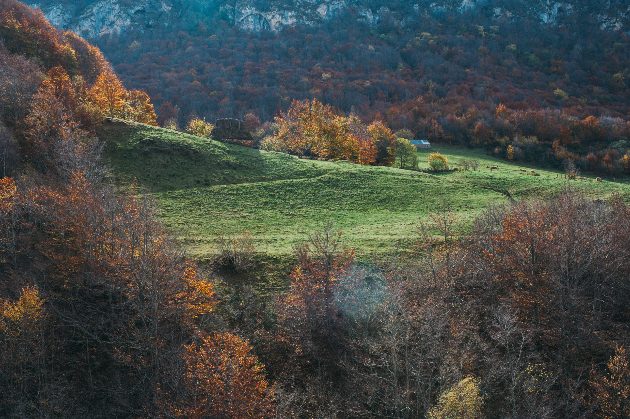 Vestige Asturias