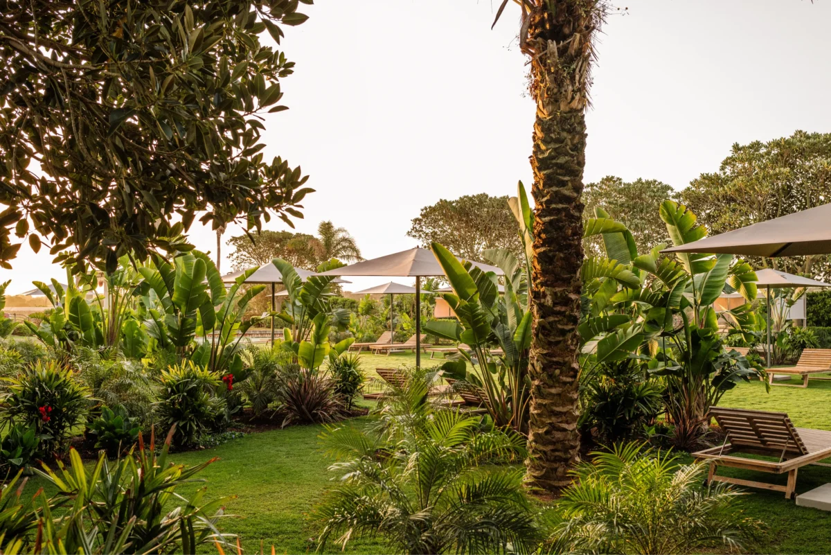 Vestige Son Vell Gardens1