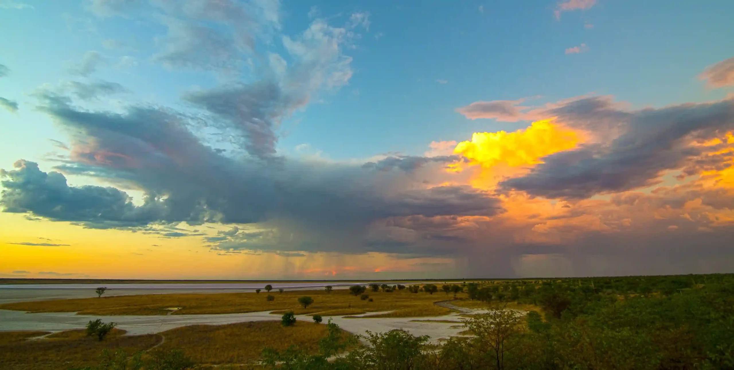 sheya view etosha scaled